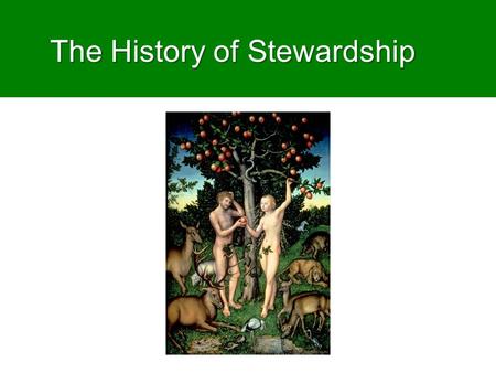 The History of Stewardship. Lesson aims  To show how texts like Genesis 1-2 have generated different readings in changing contexts  To encourage reflection.