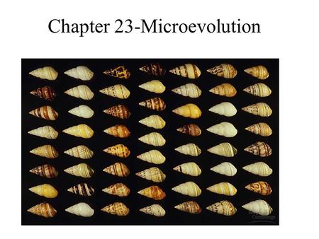 Chapter 23-Microevolution. Population genetics Population: a localized group of individuals belonging to the same species Species: a group of populations.