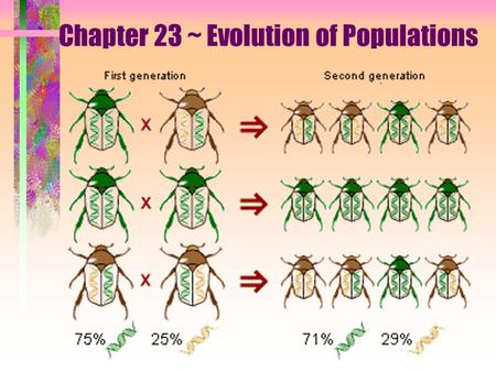 Chapter 23 ~ Evolution of Populations. Population genetics Population: group of individuals belonging to the same species in same area Species: organisms.