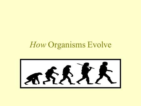 How Organisms Evolve. Preface Natural selection is a mindless, mechanical process some individuals reproduce more successfully than others and that is.