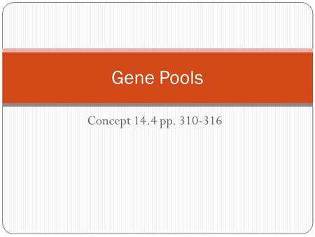 Concept 14.4 pp. 310-316 Gene Pools. Gene Pool Definition- consists of all the alleles in all the individuals that make up a population. A population.