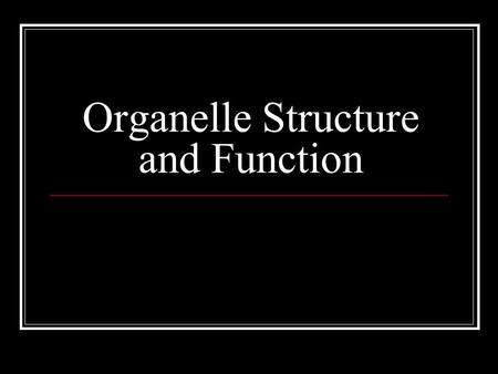 Organelle Structure and Function. Review Prokaryotes simple celled organisms No nucleus Eukaryotic cells multicellular organisms Nucleus organelles.
