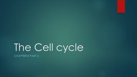 The Cell cycle CHAPTER 8 PART 2. Cell Growth  As organisms grow, do they grow because cells get larger and larger or because more cells are produced?