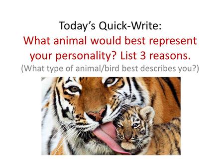 Today’s Quick-Write: What animal would best represent your personality? List 3 reasons. (What type of animal/bird best describes you?)