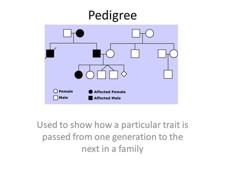 Pedigree Used to show how a particular trait is passed from one generation to the next in a family.