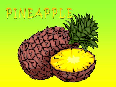 Pineapples grow in tropical areas. They like a lot of sun.