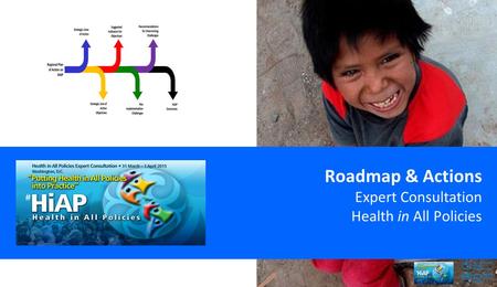 Roadmap & Actions Expert Consultation Health in All Policies.