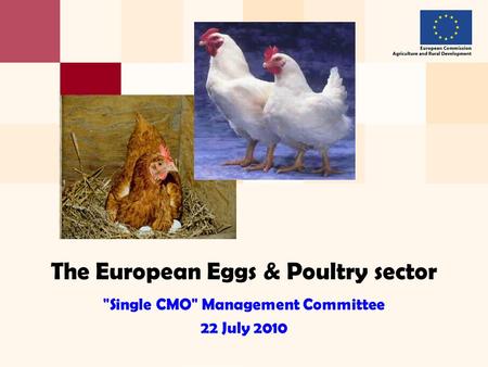 The European Eggs & Poultry sector Single CMO Management Committee 22 July 2010.