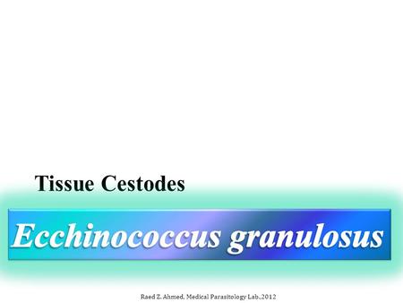 Ecchinococcus granulosus
