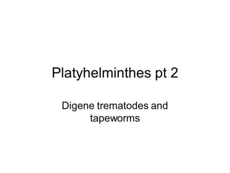 Platyhelminthes pt 2 Digene trematodes and tapeworms.