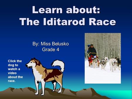 Learn about: The Iditarod Race