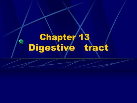 Chapter 13 Digestive tract. ---Digestive system: Digestive tract Digestive gland.