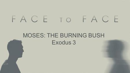 MOSES: THE BURNING BUSH Exodus 3. Pop Theology “God showed up…” –It demeans the work of God in preparation –It assumes that God was busy elsewhere –It.