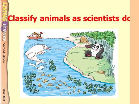 Classify animals as scientists do. Classify animals as scientists do Scientists first divide animals into two main groups according to whether they have.