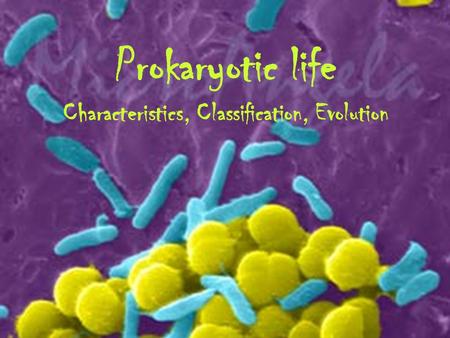 Prokaryotic life Characteristics, Classification, Evolution.
