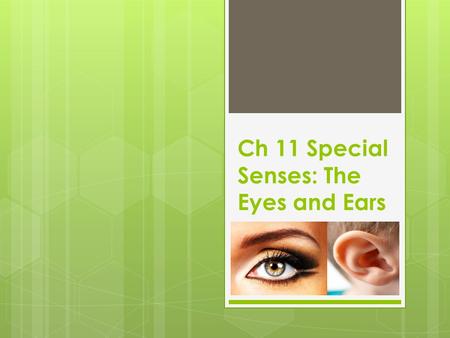 Ch 11 Special Senses: The Eyes and Ears. Terms for Eyes  Iris- ir/i, ir/o, irid/o, irit/o- controls the amount of light entering the eye  Lens- phac/o-