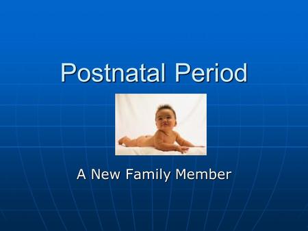 Postnatal Period A New Family Member.