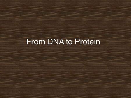 From DNA to Protein. Remember Genes On Chromosomes??? Some genes contain the instructions to make a protein.