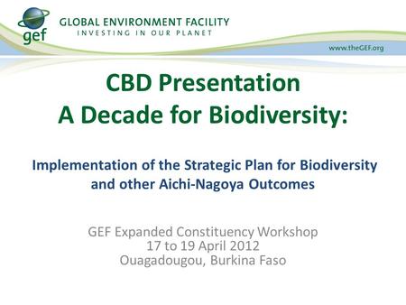 CBD Presentation A Decade for Biodiversity: Implementation of the Strategic Plan for Biodiversity and other Aichi-Nagoya Outcomes GEF Expanded Constituency.