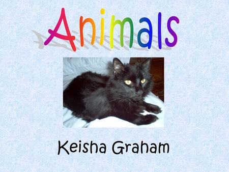 Animals Keisha Graham.