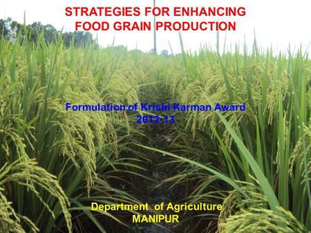 1 1 STRATEGIES FOR ENHANCING FOOD GRAIN PRODUCTION Formulation of Krishi Karman Award 2012-13 Department of Agriculture MANIPUR.