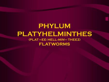 PHYLUM PLATYHELMINTHES (PLAT –EE- HELL-MIN – THEEZ) FLATWORMS.