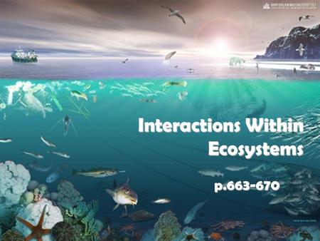 Interactions Within Ecosystems p.663-670. Competition Competition is the struggle between organisms to survive in a habitat with limited resources. One.
