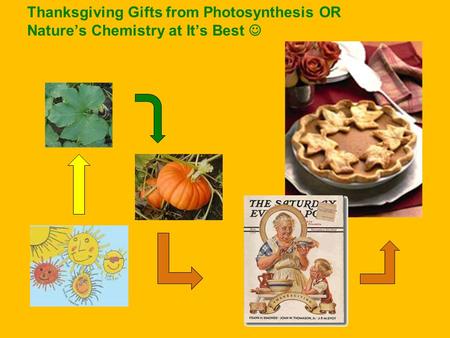 Thanksgiving Gifts from Photosynthesis OR Nature’s Chemistry at It’s Best.