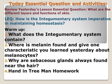 Today Essential Question and Activities: Review Yesterday’s Lesson Essential Question: What are the different layers and functions of skin. LEQ: How is.