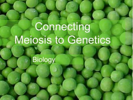 Connecting Meiosis to Genetics Biology. How are meiosis & genetics related? 1. Meiosis produces gamete cells.