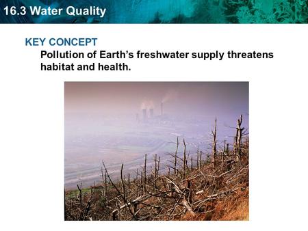16.3 Water Quality KEY CONCEPT Pollution of Earth’s freshwater supply threatens habitat and health.