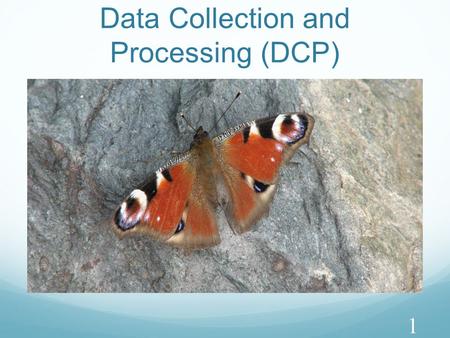 Data Collection and Processing (DCP) 1. Key Aspects (1) DCPRecording Raw Data Processing Raw Data Presenting Processed Data CompleteRecords appropriate.