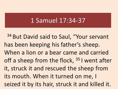 1 Samuel 17:34-37 34 But David said to Saul, “Your servant has been keeping his father’s sheep. When a lion or a bear came and carried off a sheep from.