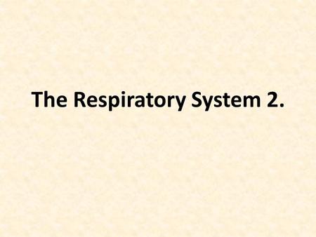 The Respiratory System 2.