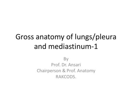 Gross anatomy of lungs/pleura and mediastinum-1