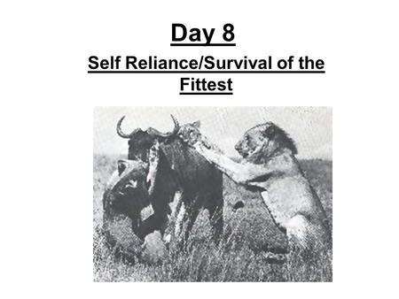 Day 8 Self Reliance/Survival of the Fittest. Revisit the Political Spectrum: -Which side of the spectrum usually favors change in a new direction? -Which.