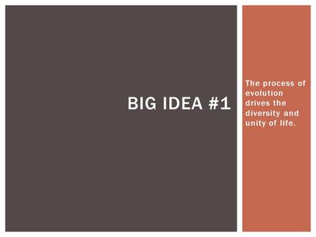 The process of evolution drives the diversity and unity of life. BIG IDEA #1.