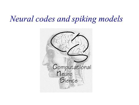 Neural codes and spiking models. Neuronal codes Spiking models: Hodgkin Huxley Model (small regeneration) Reduction of the HH-Model to two dimensions.