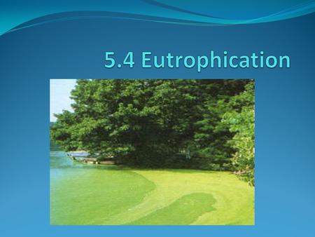 5.4 Eutrophication.