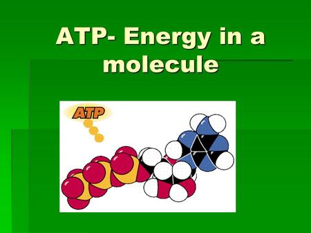 ATP- Energy in a molecule