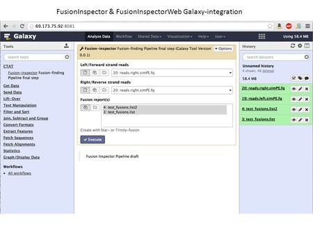 FusionInspector & FusionInspectorWeb Galaxy-integration.