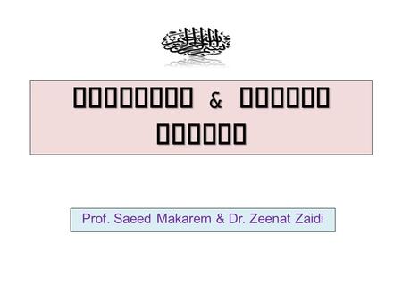 Axillary & Median Nerves Prof. Saeed Makarem & Dr. Zeenat Zaidi.