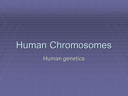 Human Chromosomes Human genetics. Human Genes and Chromosomes  Only about 2% of the DNA in your chromosomes functions as genes (transcribed into RNA).