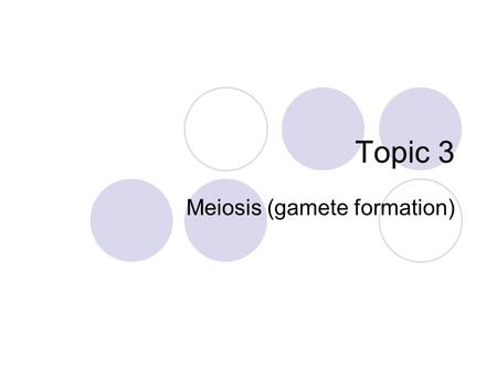 Topic 3 Meiosis (gamete formation) Human chromosomes Human somatic cells (any cell other than a gamete) have: 22 pairs of homologous chromosomes 1 pair.