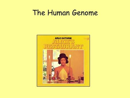 The Human Genome. THINK ABOUT IT What does a can of Diet Coke and this song have to do with human genetics? (Answers to come in this slide show!)