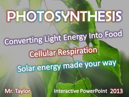 PHOTOSYNTHESIS Converting Light Energy Into Food Cellular Respiration
