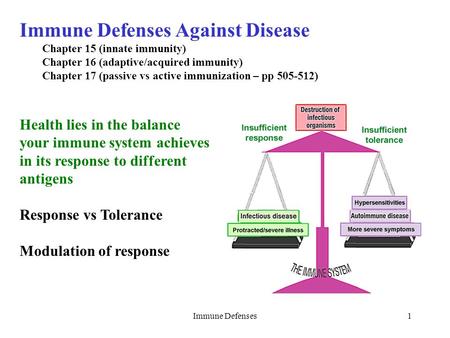 1 Immune Defenses Against Disease Chapter 15 (innate immunity) Chapter 16 (adaptive/acquired immunity) Chapter 17 (passive vs active immunization – pp.