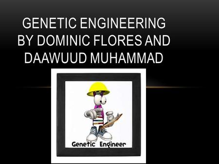 GENETIC ENGINEERING BY DOMINIC FLORES AND DAAWUUD MUHAMMAD.
