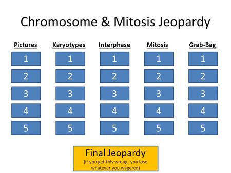 Chromosome & Mitosis Jeopardy 1 2 3 4 5 1 2 3 4 5 1 2 3 4 5 1 2 3 4 5 1 2 3 4 5 PicturesKaryotypesInterphaseMitosisGrab-Bag Final Jeopardy (if you get.