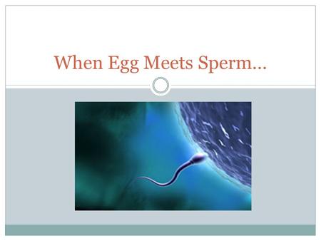 When Egg Meets Sperm….